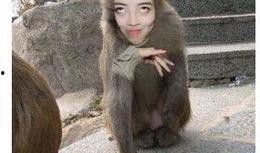 猴子抖音爆料视频大全,猴子爆料视频大全精彩瞬间汇总