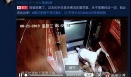 谁爆料家暴视频大全集下载,全网热议视频大全集深度解析